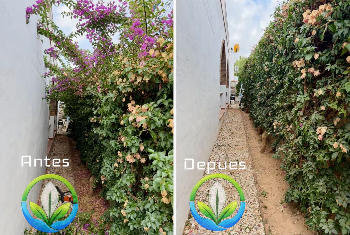 Trabajo de jardinería antes y después